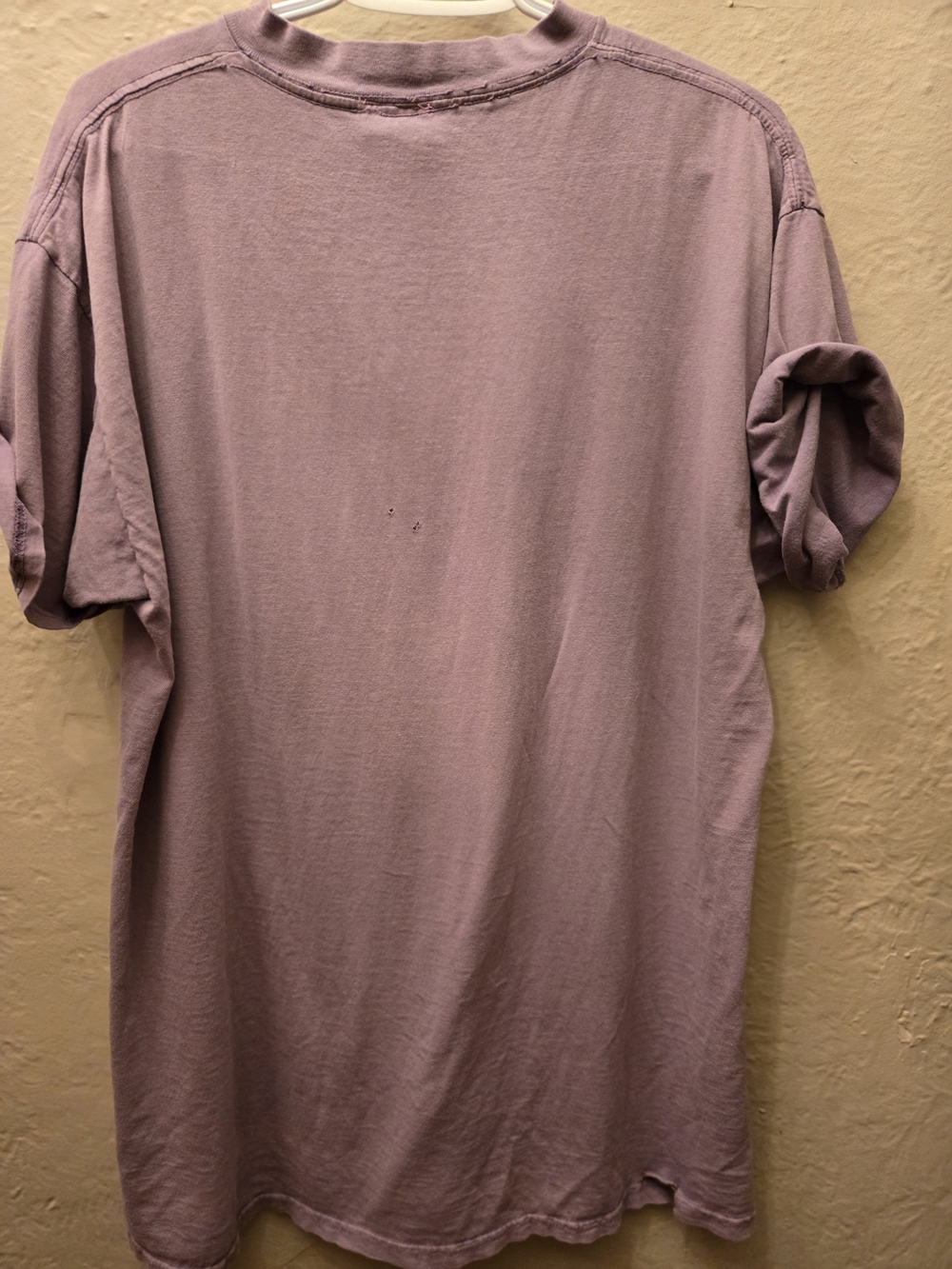Vintage Distressed Algonquin Park Tee Faded Grunge Nature Shirt Oversized L - Picture 5 of 11